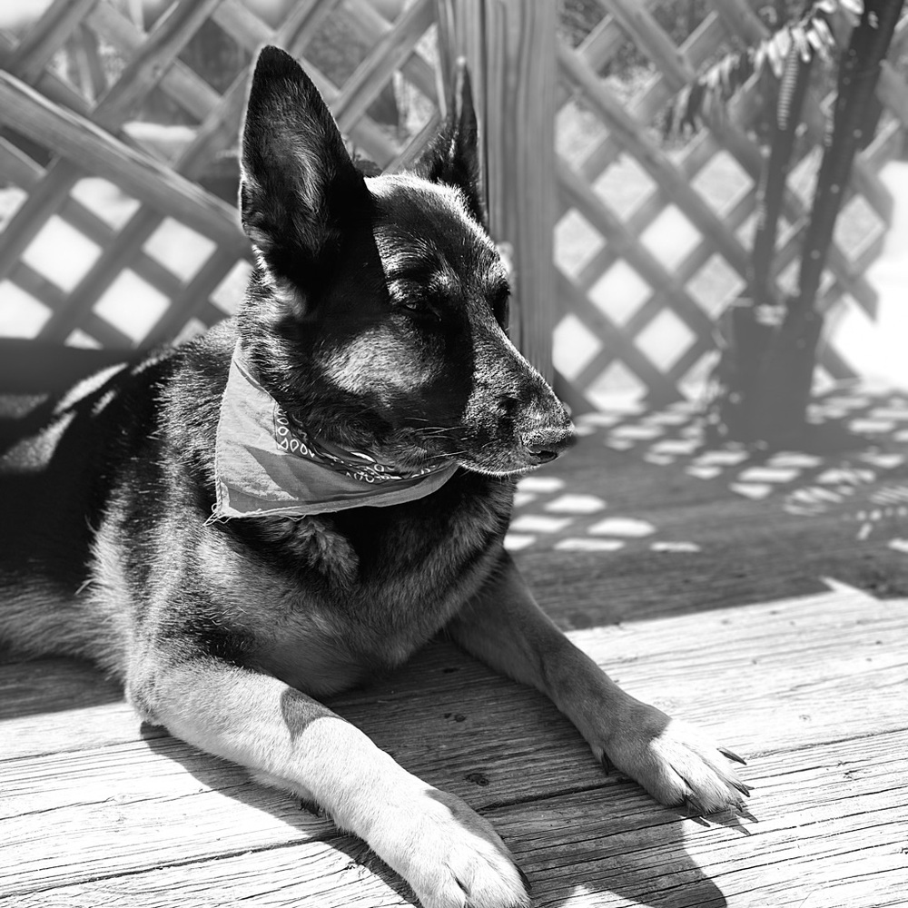 Meet your Posher, Sara